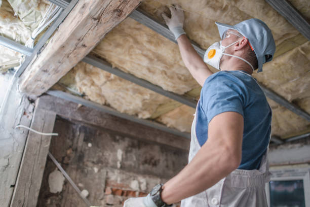 Best Commercial Insulation in Nederland, TX