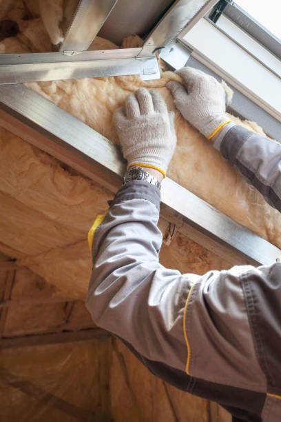Best Residential Insulation in Nederland, TX