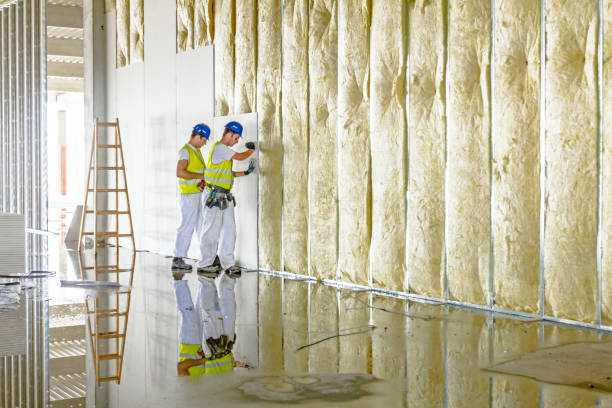 Best Eco-Friendly Insulation in Nederland, TX